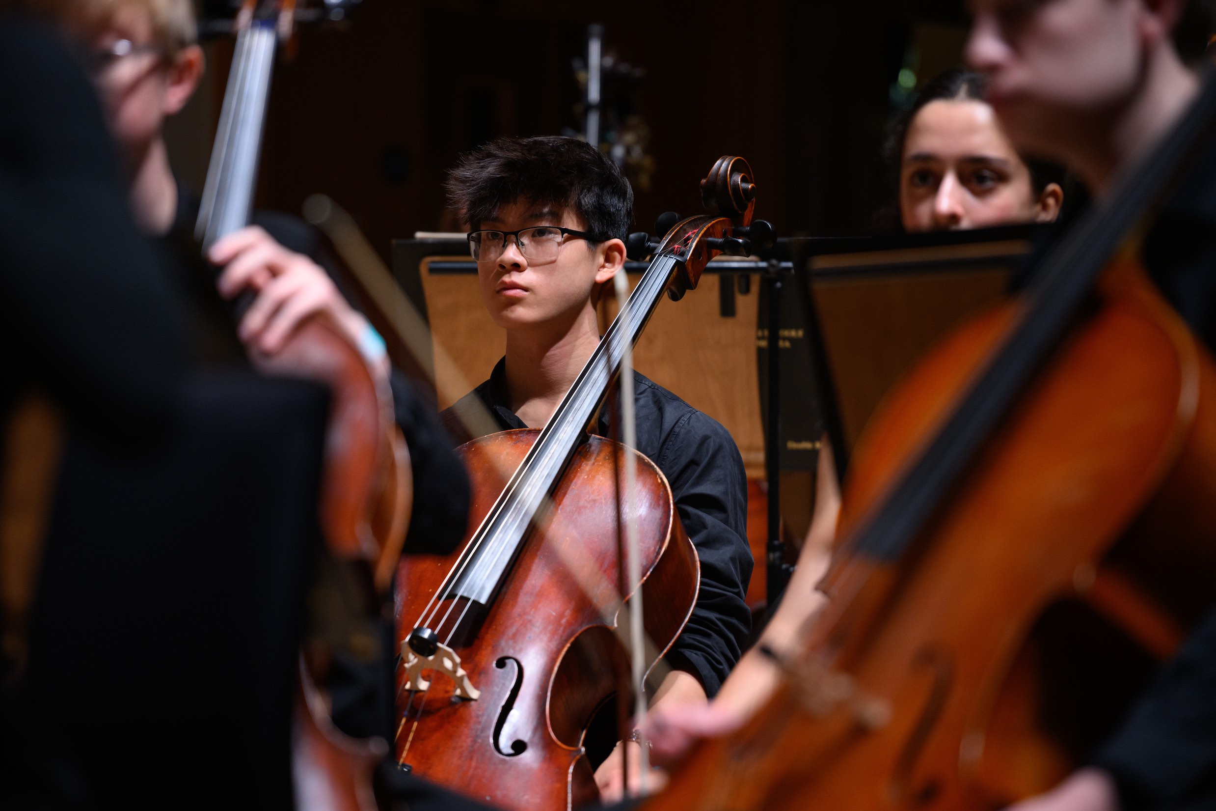 Moments in Rehearsal for the Concert